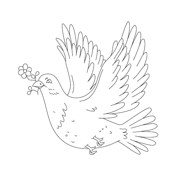 Hand drawn dove outline illustration