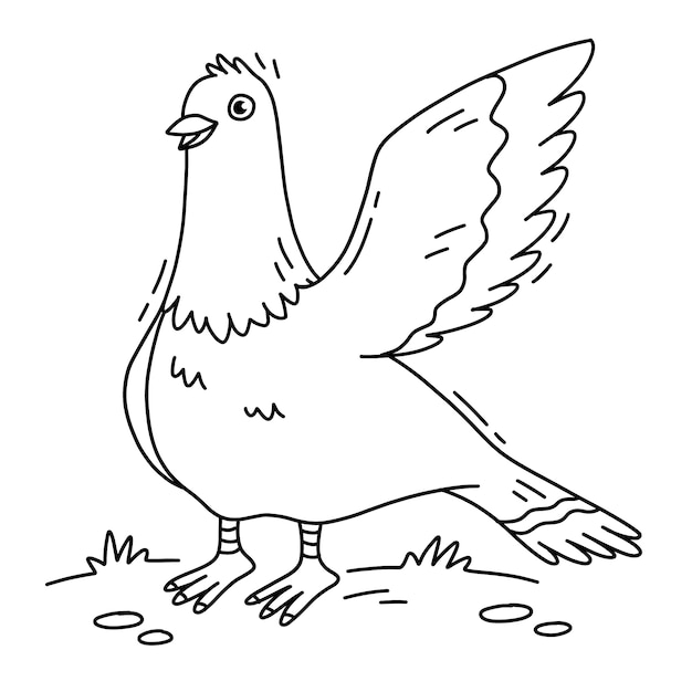 Hand drawn dove outline illustration