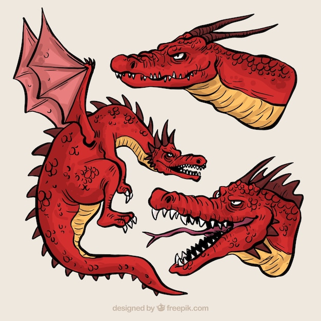 Hand drawn dragon character collection