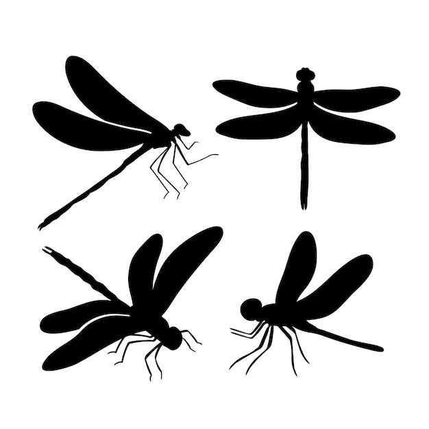 Hand drawn dragonfly silhouette