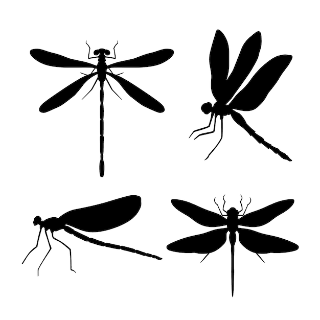 Hand drawn dragonfly silhouette