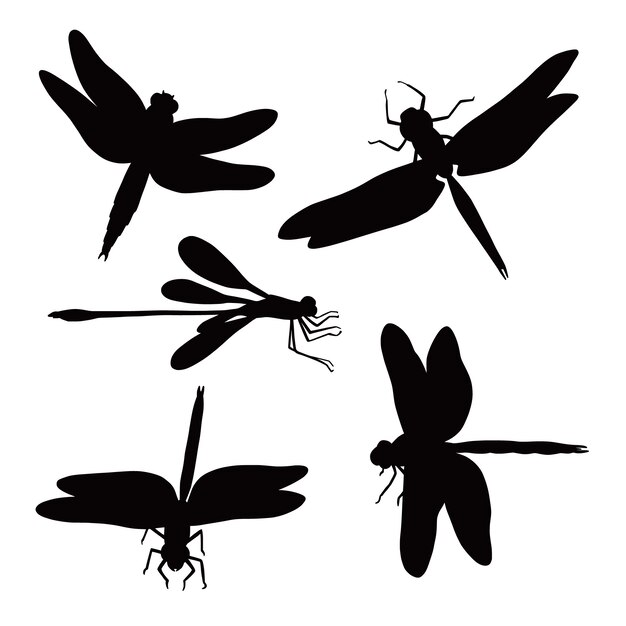 Hand drawn dragonfly silhouette