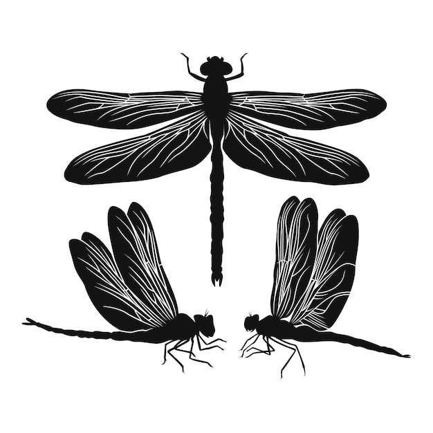 Hand drawn dragonfly silhouette