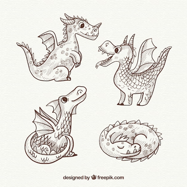 Hand drawn dragons with lovely style