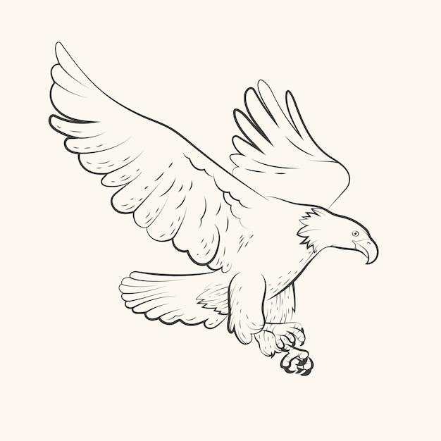 Free Vector hand drawn eagle flying drawing illustration