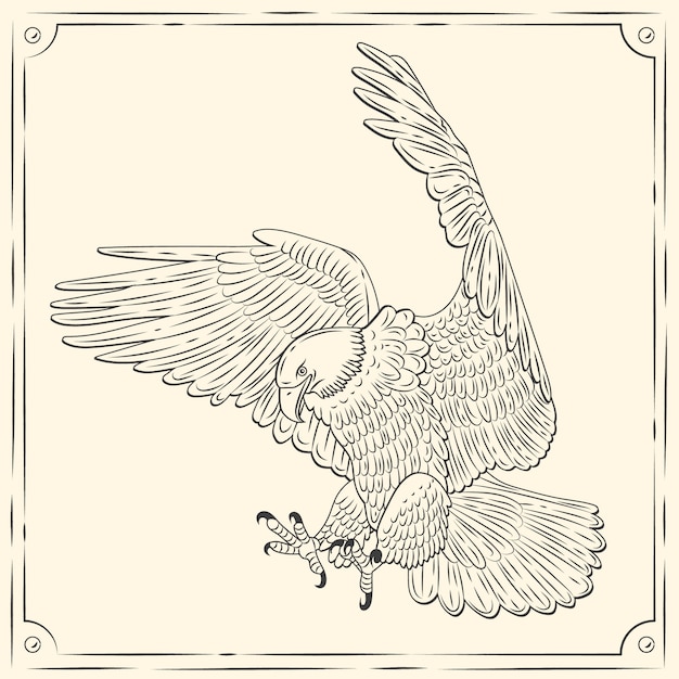 Free vector hand drawn eagle  flying drawing illustration