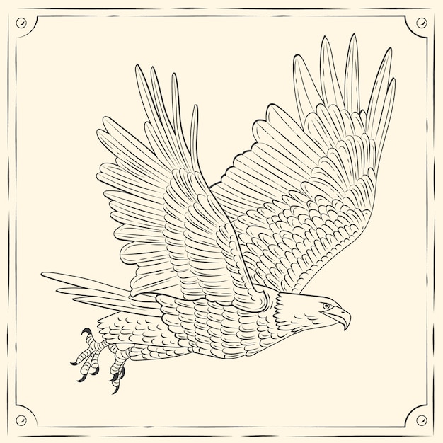 Free vector hand drawn eagle  flying drawing illustration