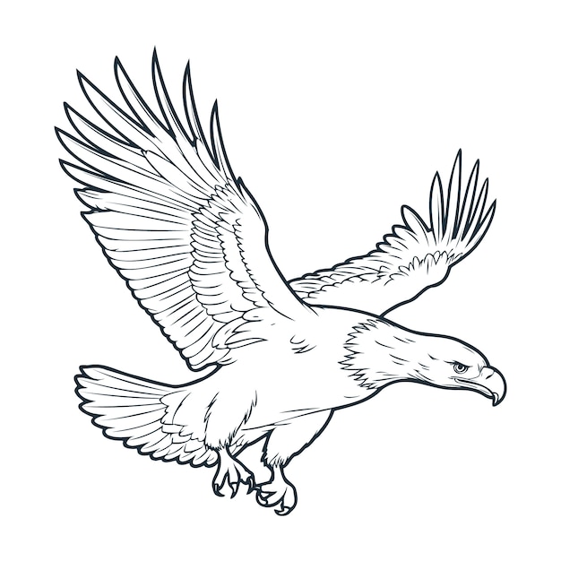 Free vector hand drawn eagle  flying drawing illustration