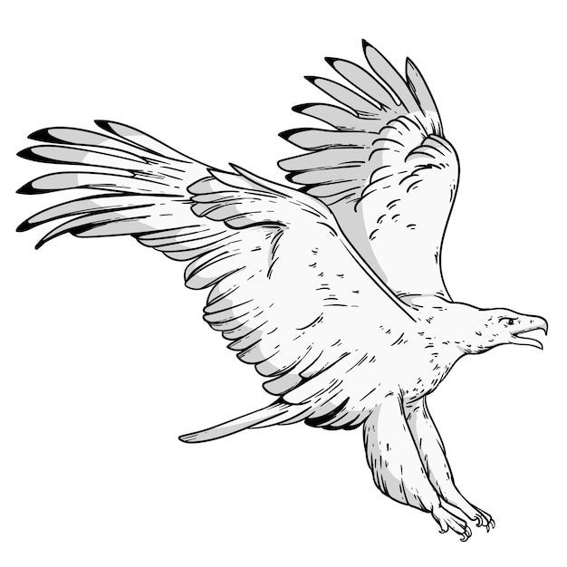 Free vector hand drawn eagle  flying drawing illustration