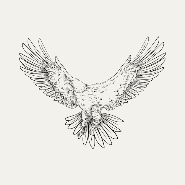 Free Vector hand drawn eagle flying drawing illustration