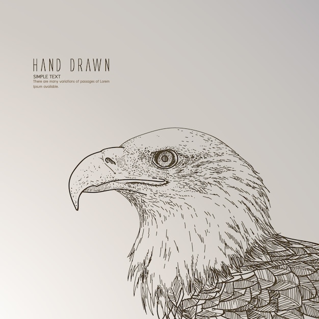 Free Vector hand drawn eagle