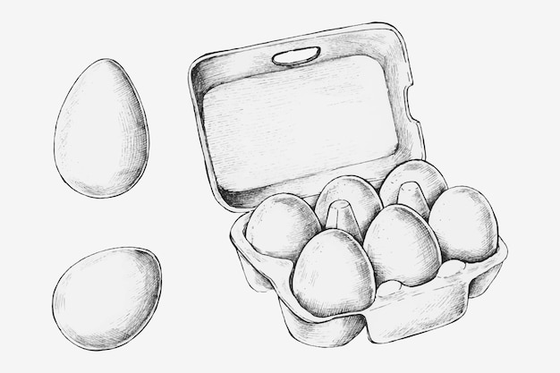 Free Vector hand-drawn egg box