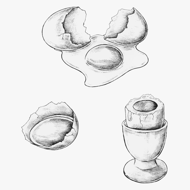 Hand-drawn egg set