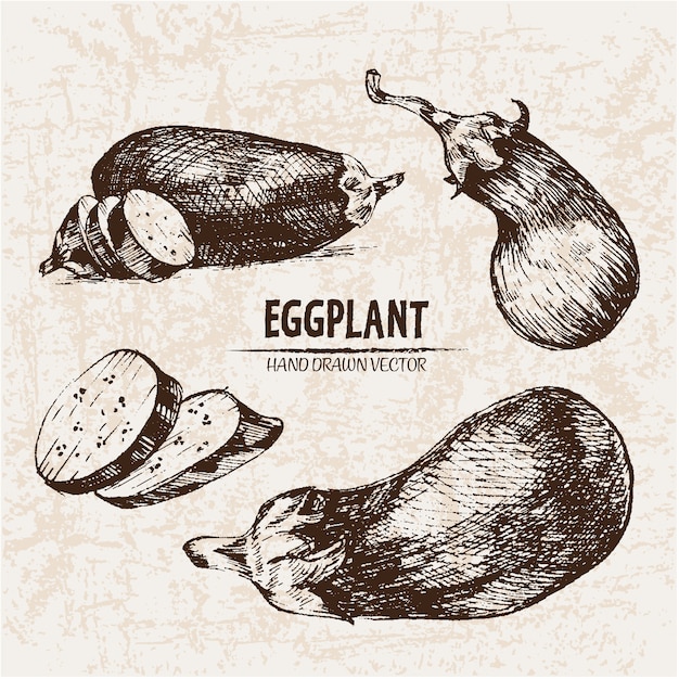 Hand drawn eggplant collection