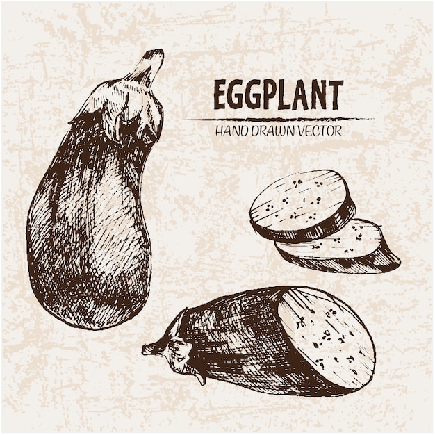 Free Vector hand drawn eggplant collection