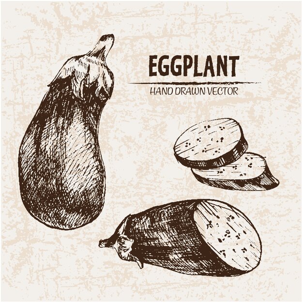 Hand drawn eggplant collection