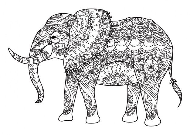 Hand drawn elephant background