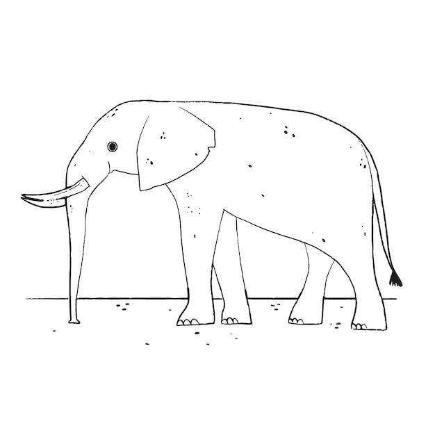 Hand drawn elephant outline illustration