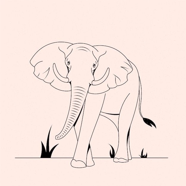 Hand drawn elephant outline illustration