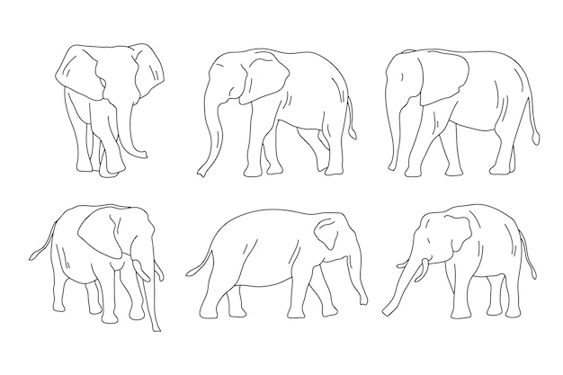 Hand drawn elephant outline illustration