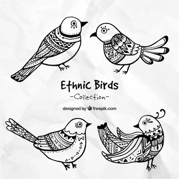 Hand drawn ethnic birds collection