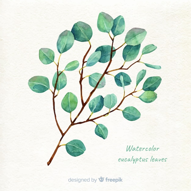 Free vector hand drawn eucalyptus branch background