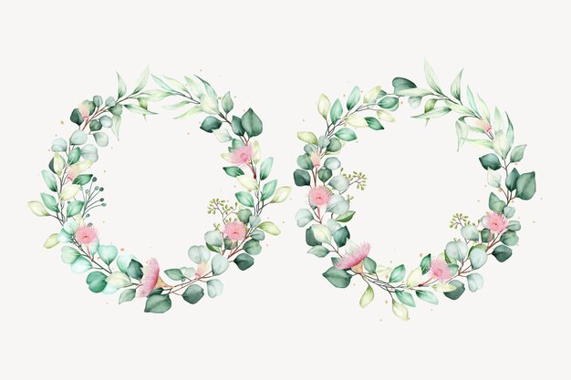 hand drawn eucalyptus flower bouquet background design