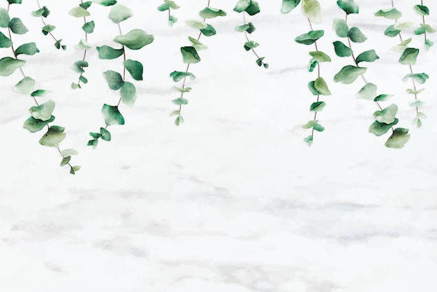 Free Vector hand drawn eucalyptus leaf on white marble background vector