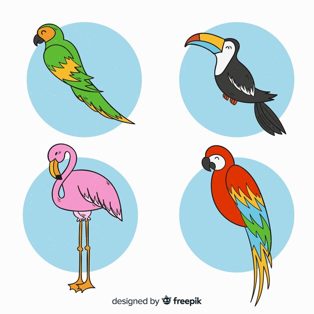 Hand drawn exotic bird collection