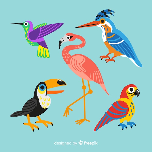 Free vector hand drawn exotic bird collection