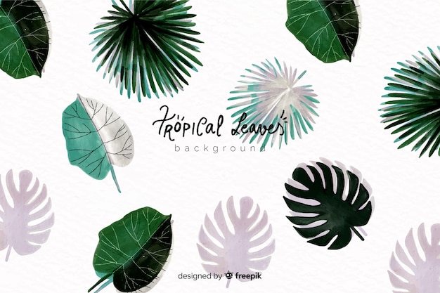 Free vector hand drawn exotic leaves background