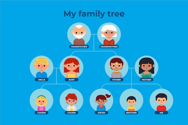 Free Vector hand drawn family tree diagram