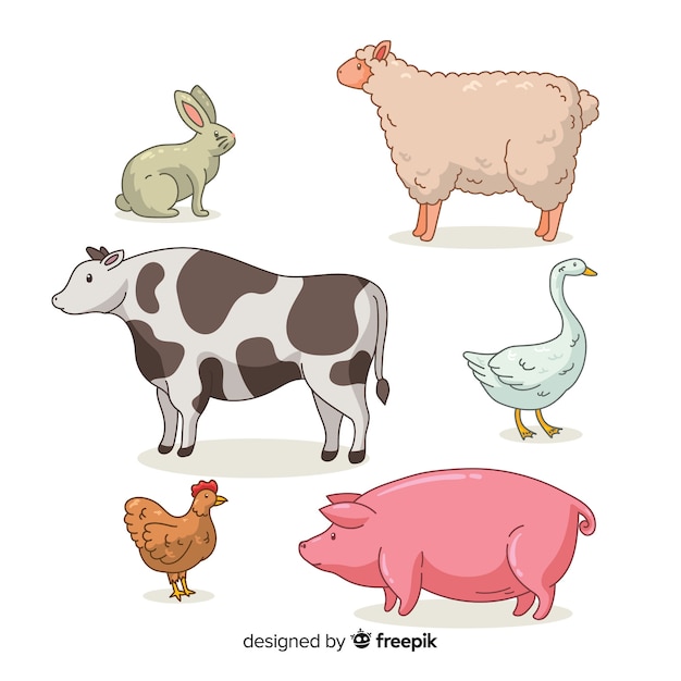 Hand drawn farm animal collection