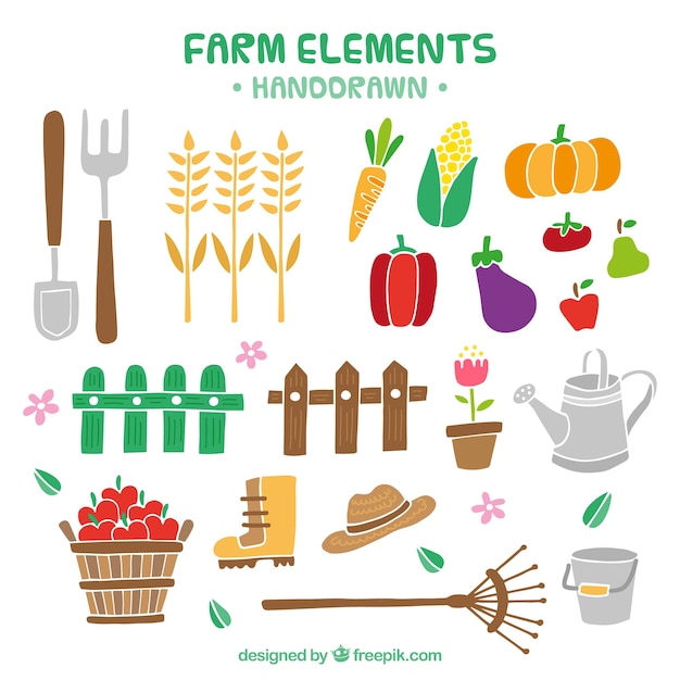 Hand drawn farm elements and products