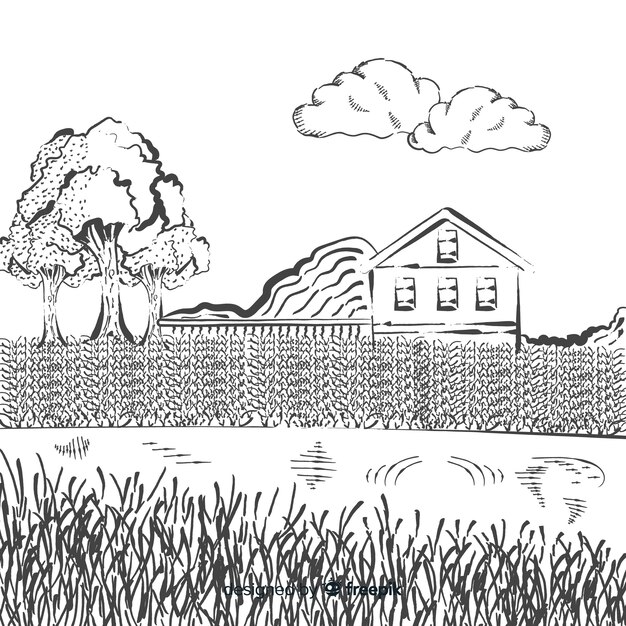 Hand drawn farm landscape