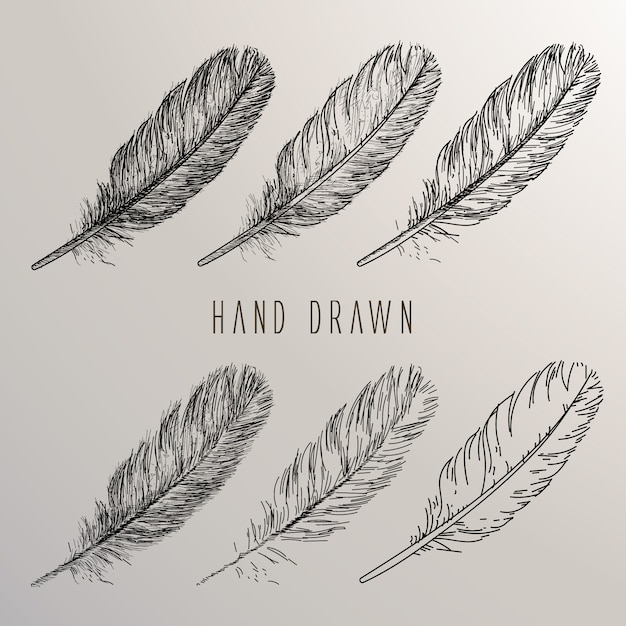 Free Vector hand drawn feather collection