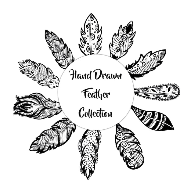  hand drawn feather collection