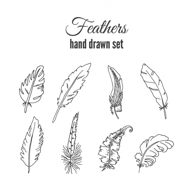 Free Vector hand drawn feather pack