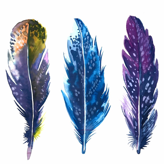 Hand drawn feathers watercolor set on white background