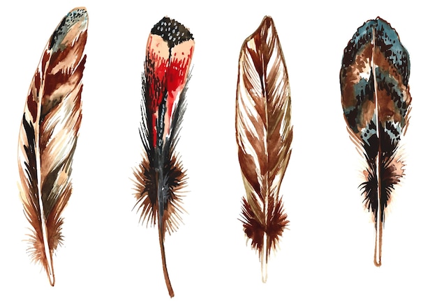 Hand drawn feathers watercolor set on white background