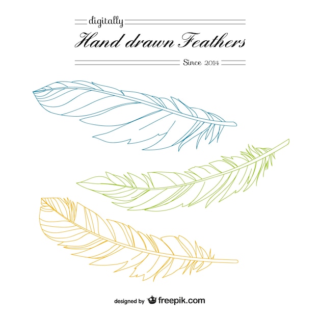 Free vector hand drawn feathers