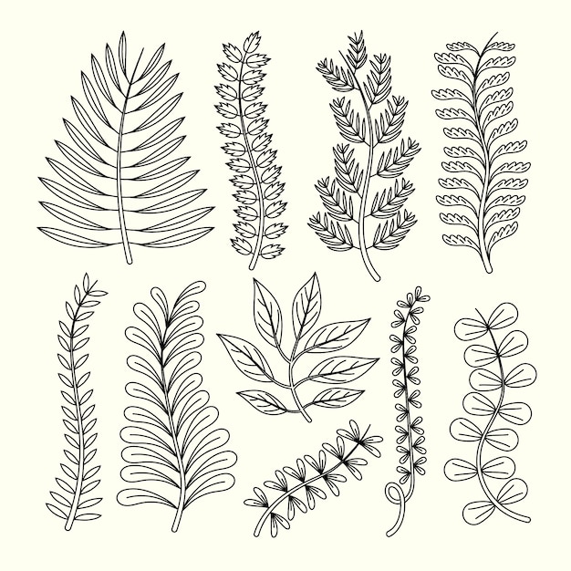 Free Vector hand drawn fern drawing illustration