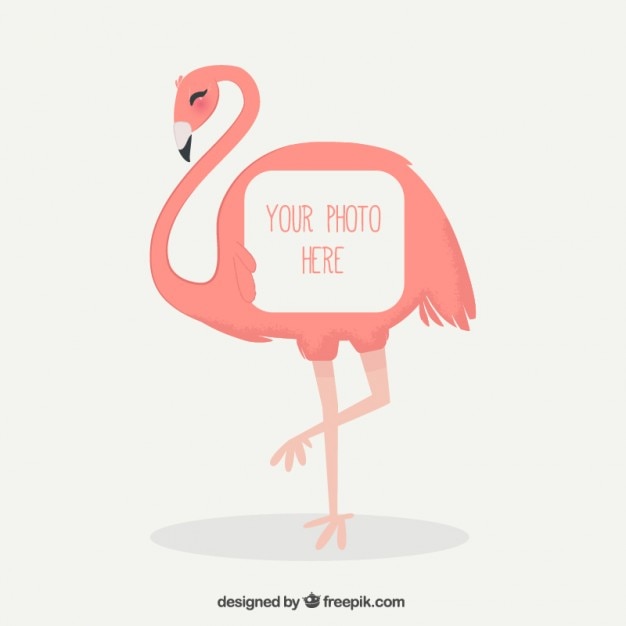 Free vector hand drawn flamingo photo frame