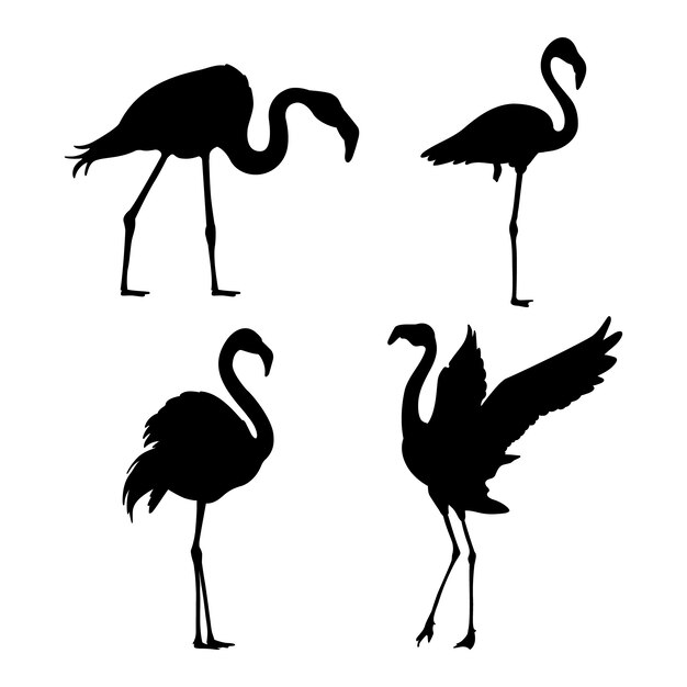 Hand drawn flamingo silhouette