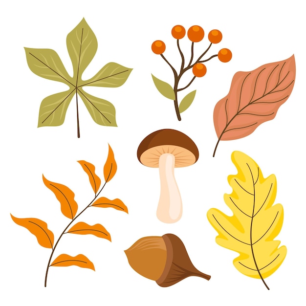 Free Vector hand drawn flat autumn elements collection