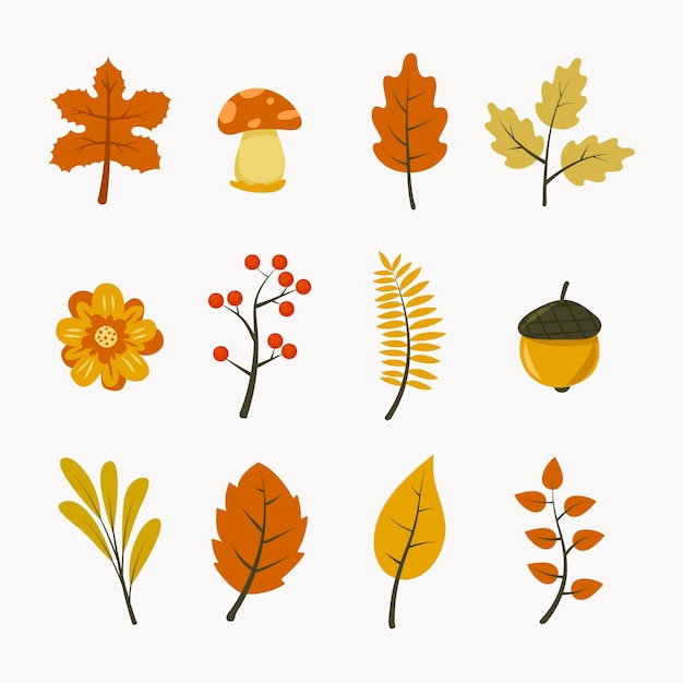 Hand drawn flat autumn elements collection