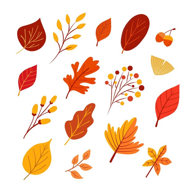 Hand drawn flat autumn elements collection