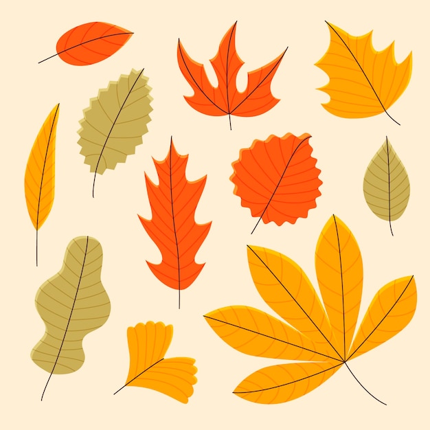 Free vector hand drawn flat autumn elements collection