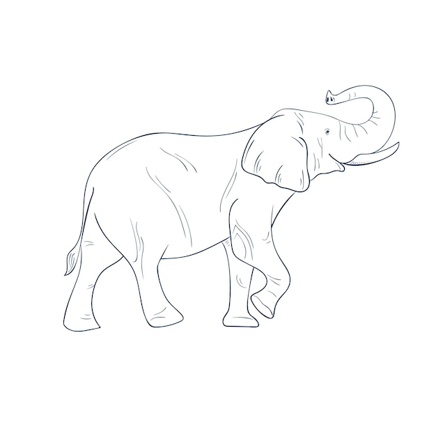 Free vector hand drawn flat design elephant outline