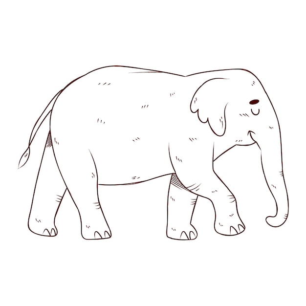 Hand drawn flat design elephant outline